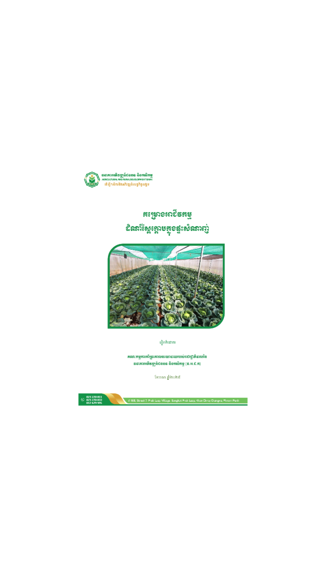 គម្រោងអាជីវកម្មដំណាំស្ពៃក្តោបក្នុងផ្ទះសំណាញ់ cover