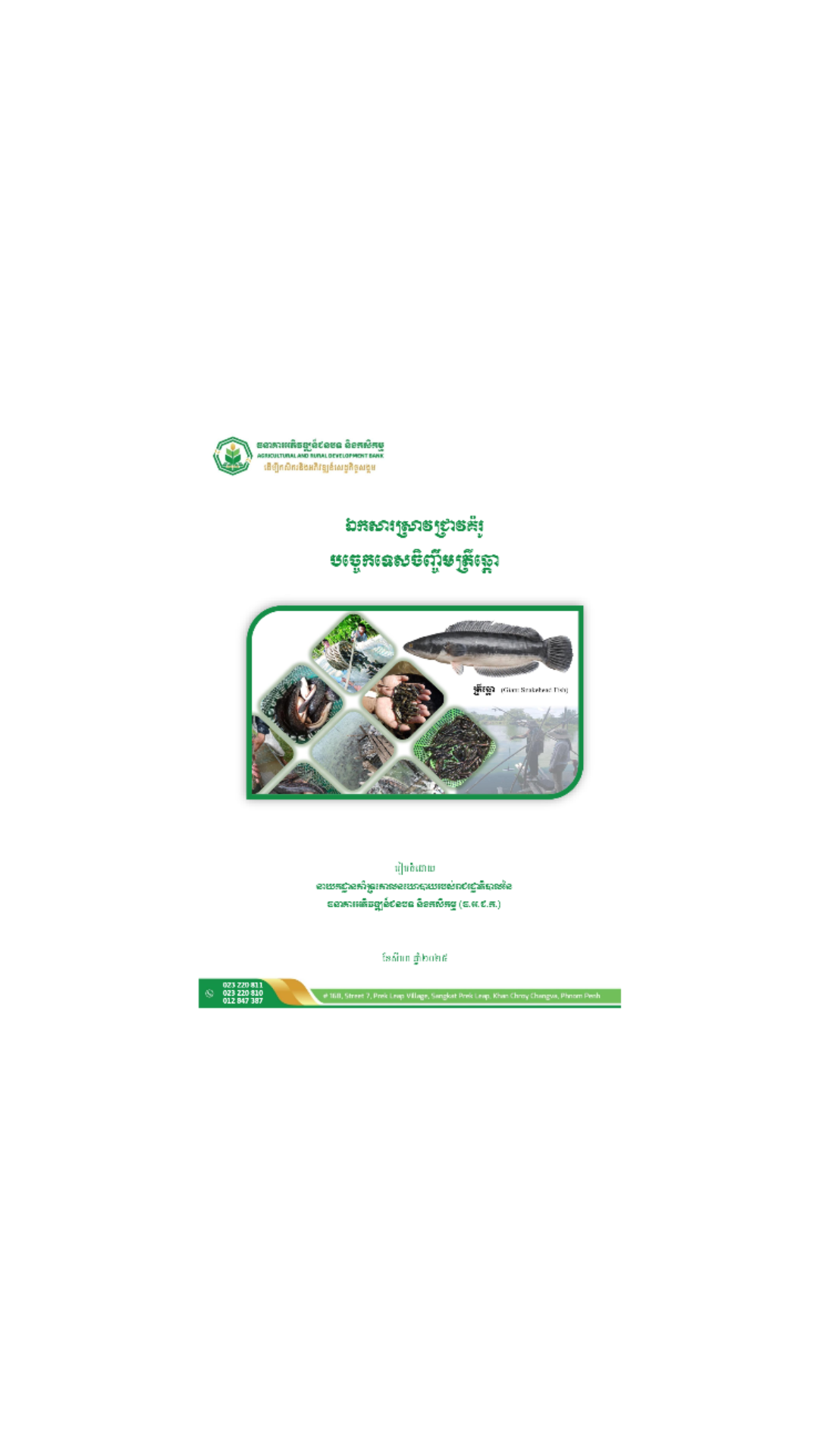 ឯកសារស្រាវជ្រាវគំរូបច្ចេកទេសចិញ្ចឹមត្រីឆ្តោ cover